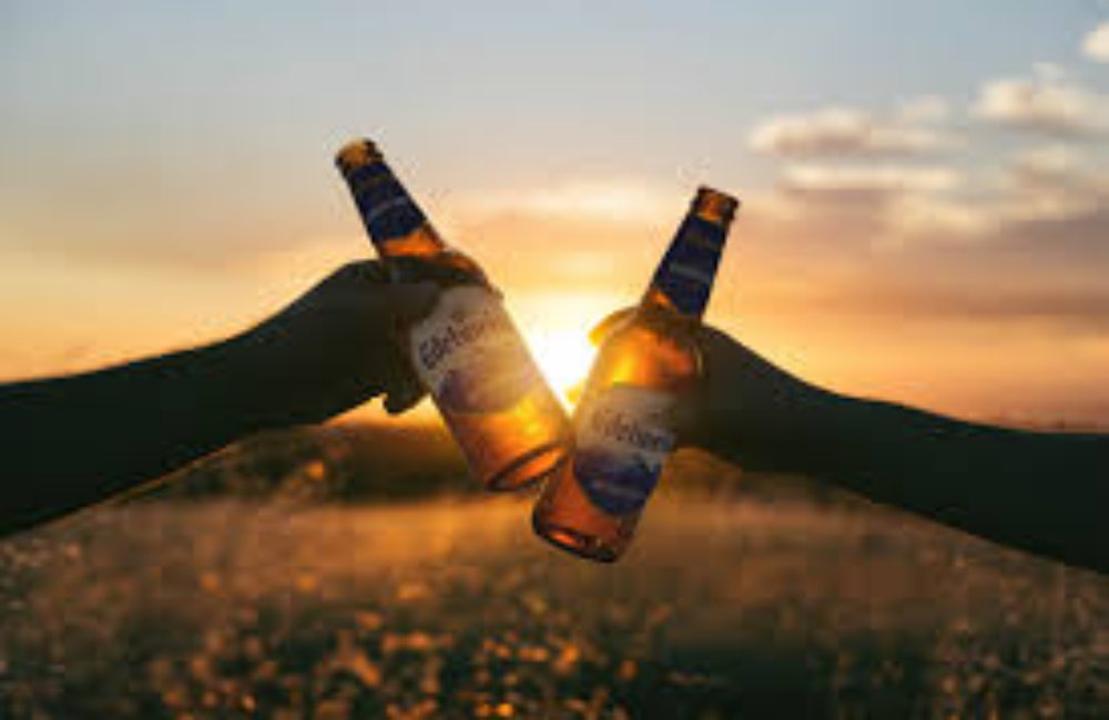 <b>What role does dry beer play in the beer brewing process?</b>